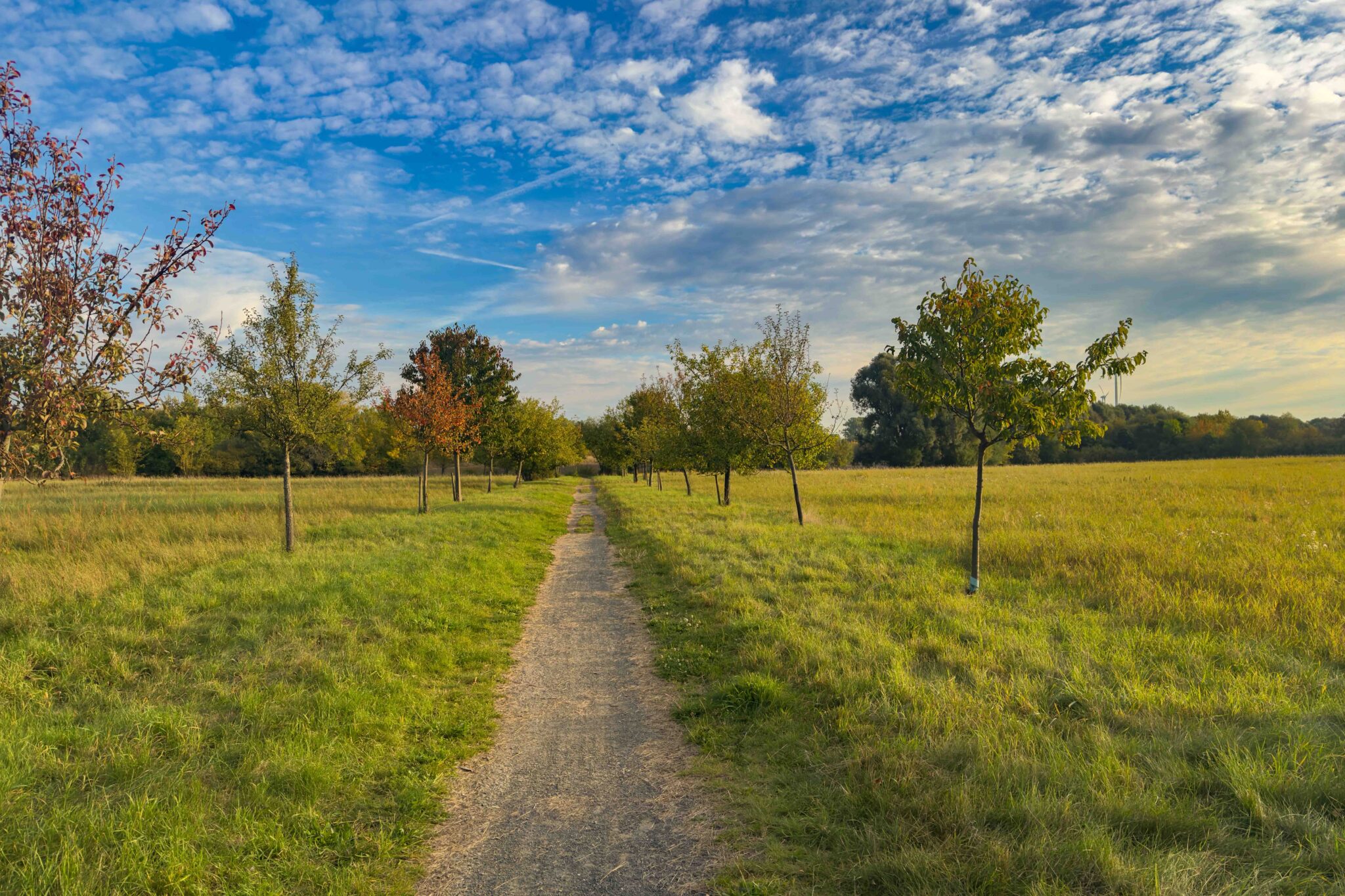 Platz zum Durchatmen im Grünen.